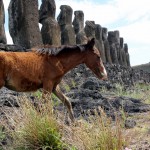 horseInRuin
